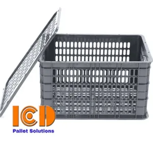sọt-xoài-ICD-Việt-Nam
