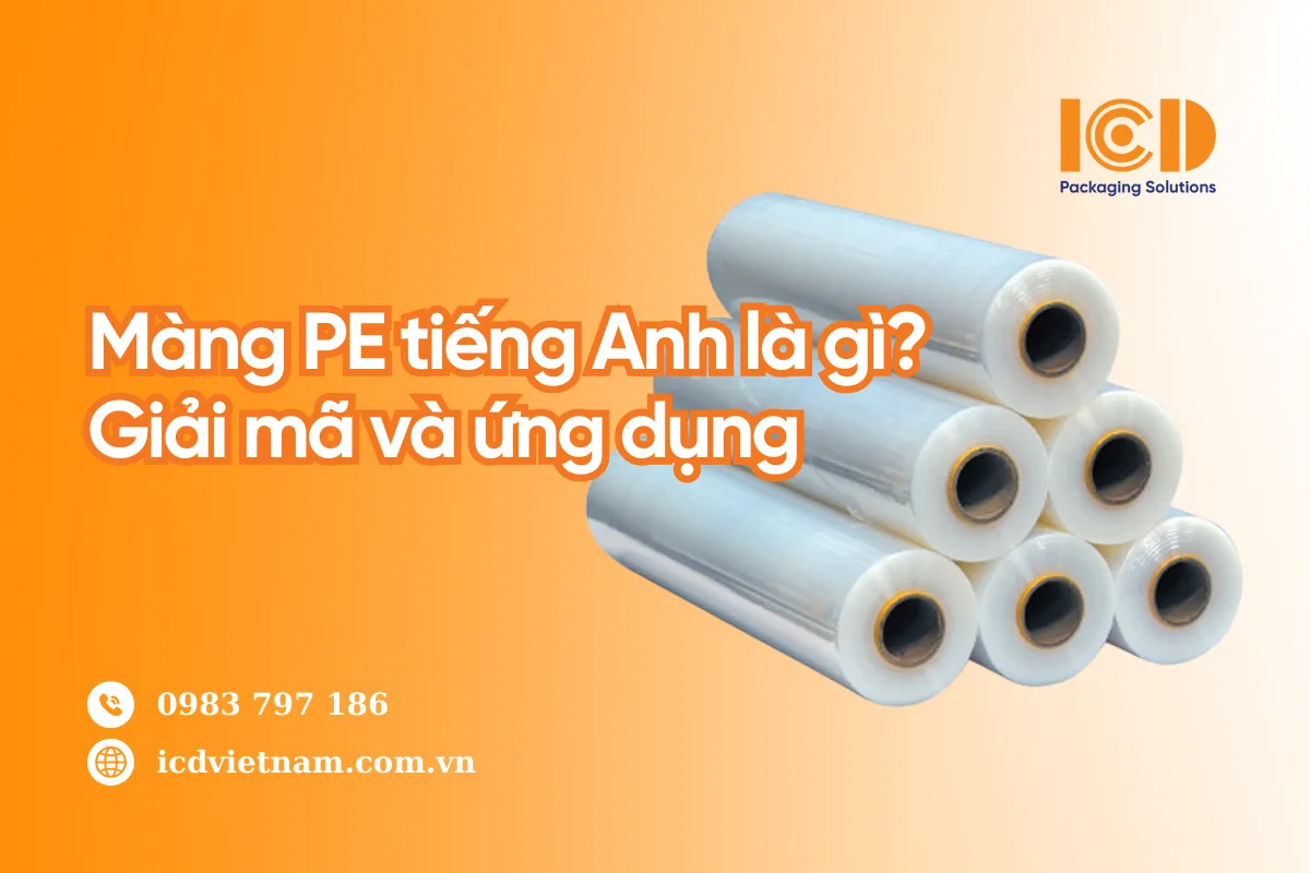 Màng PE tiếng Anh là gì? Giải mã và ứng dụng
