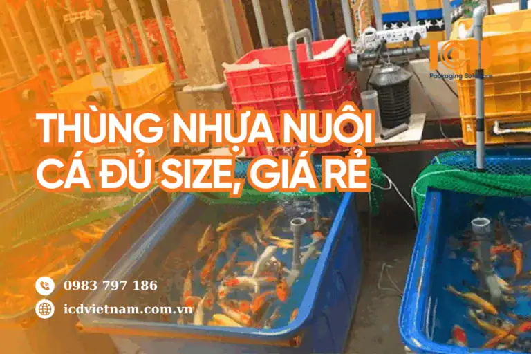 Thùng nhựa nuôi cá lắp ống lọc, máy bơm và lưới che miệng thùng