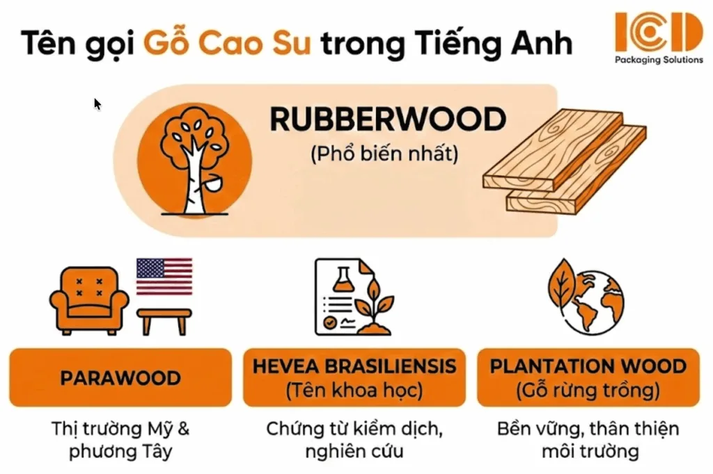 gỗ cao su trong tiếng anh