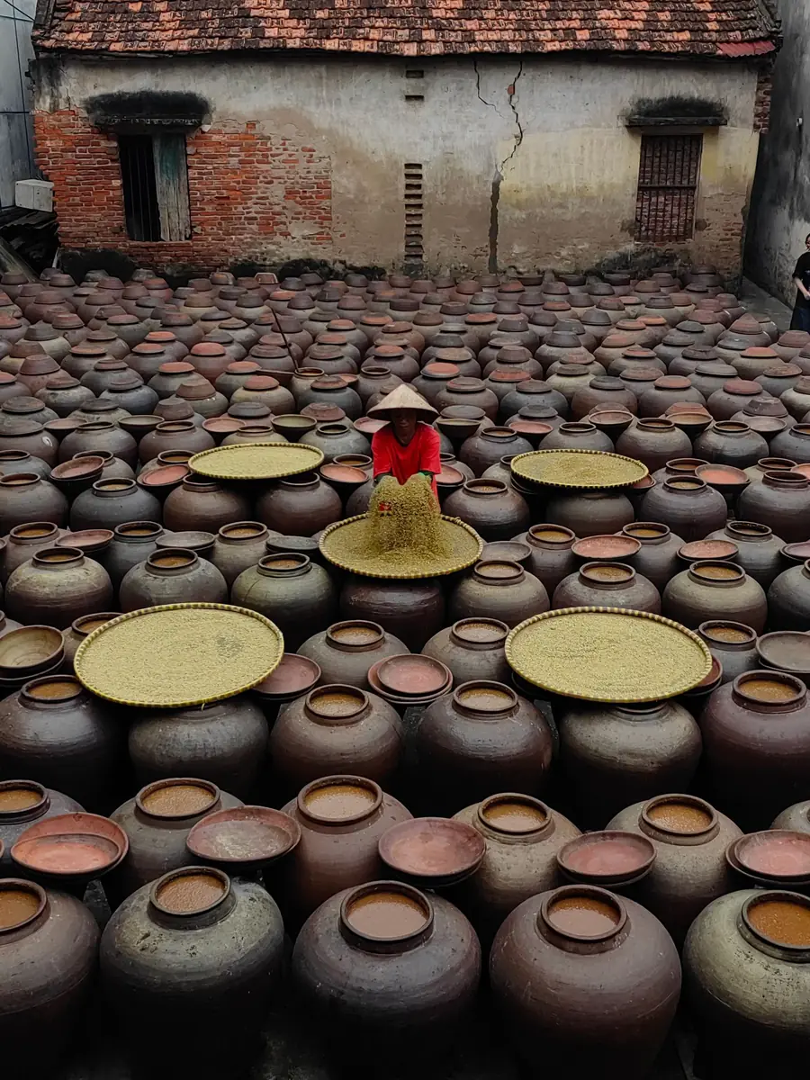 Hundreds of brown clay jars packed on a brick yard in My Hao, Hung Yen, with one person in a conical hat standing among them