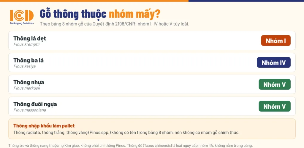 Gỗ thông thuộc nhóm mấy: thông lá dẹt nhóm I, thông ba lá nhóm IV, thông nhựa và thông đuôi ngựa nhóm V