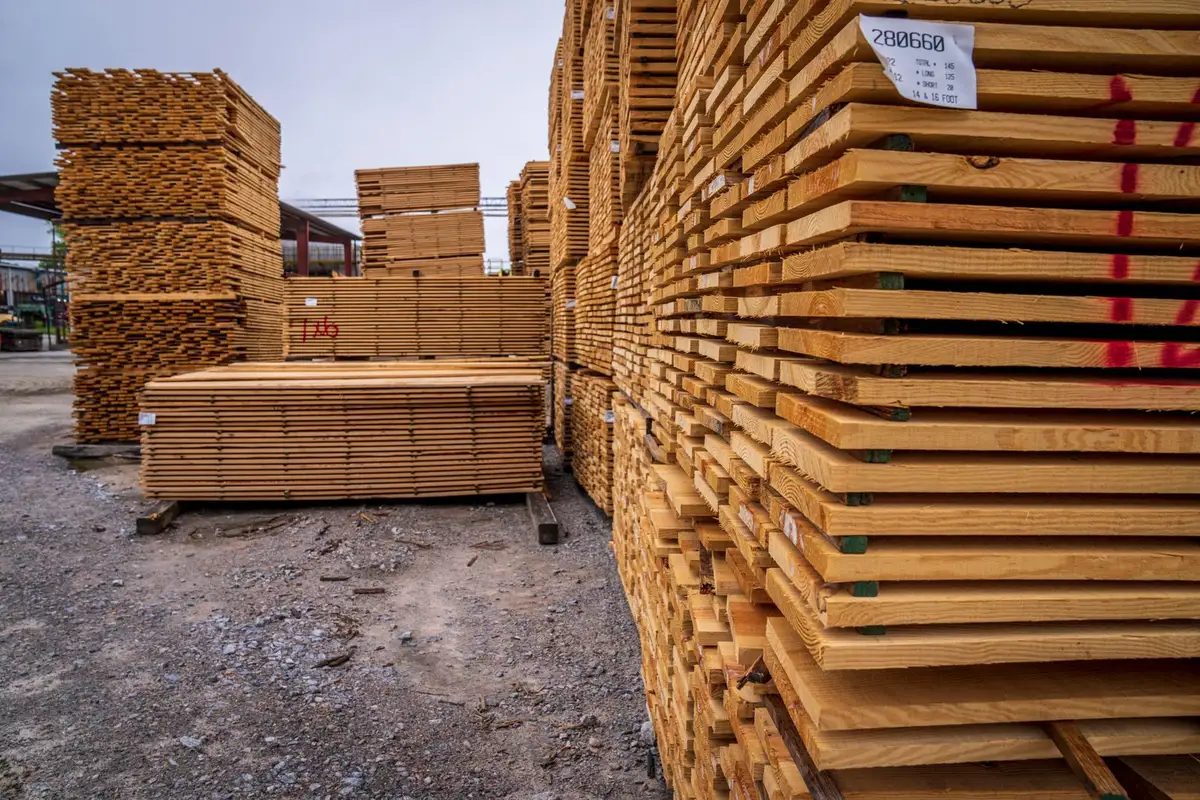 Các kiện gỗ xẻ sấy màu vàng nhạt xếp cao tại bãi gỗ