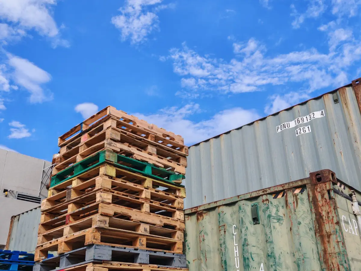 Chồng pallet gỗ xếp cạnh container tại bãi