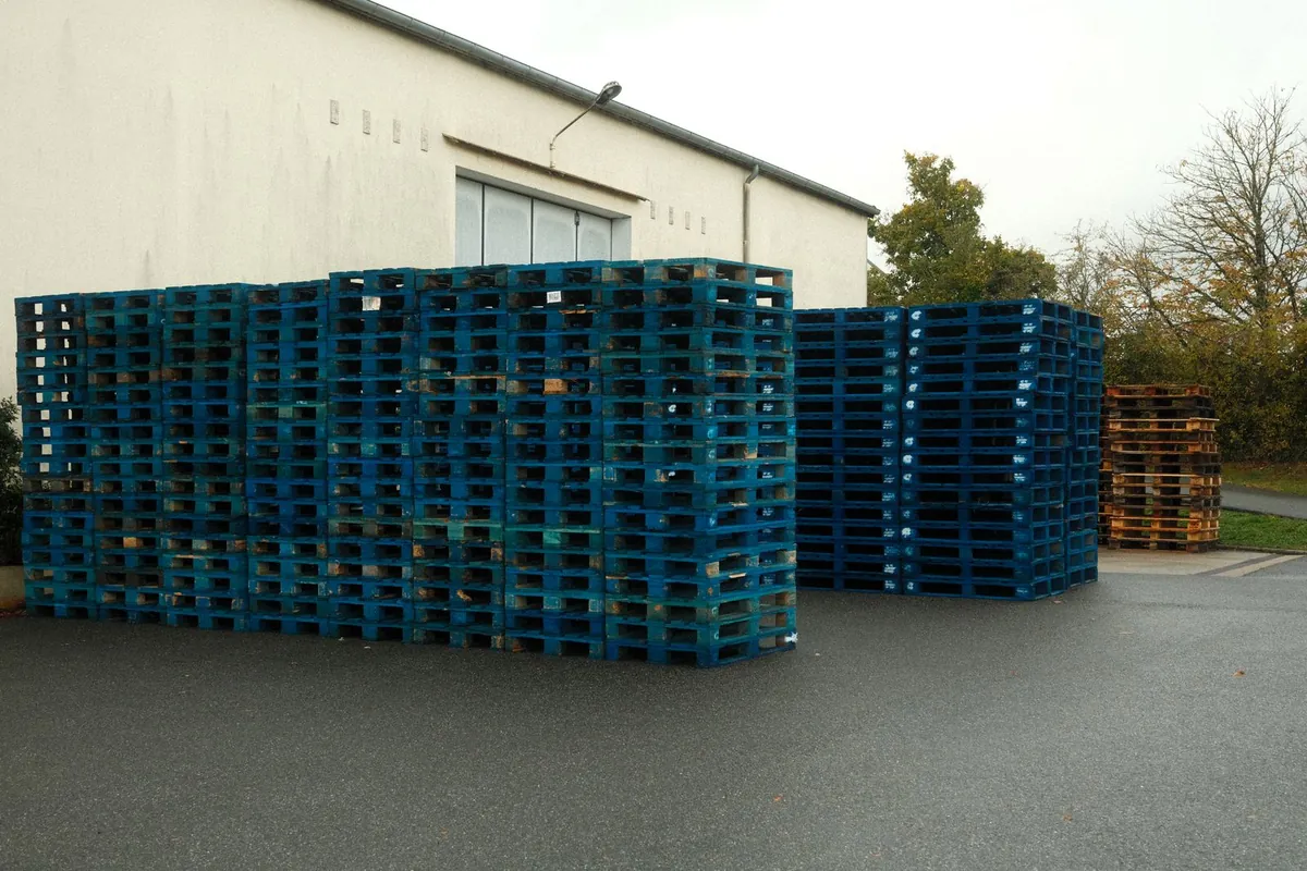 Plastic pallets left in a yard for a long time need regular cleaning