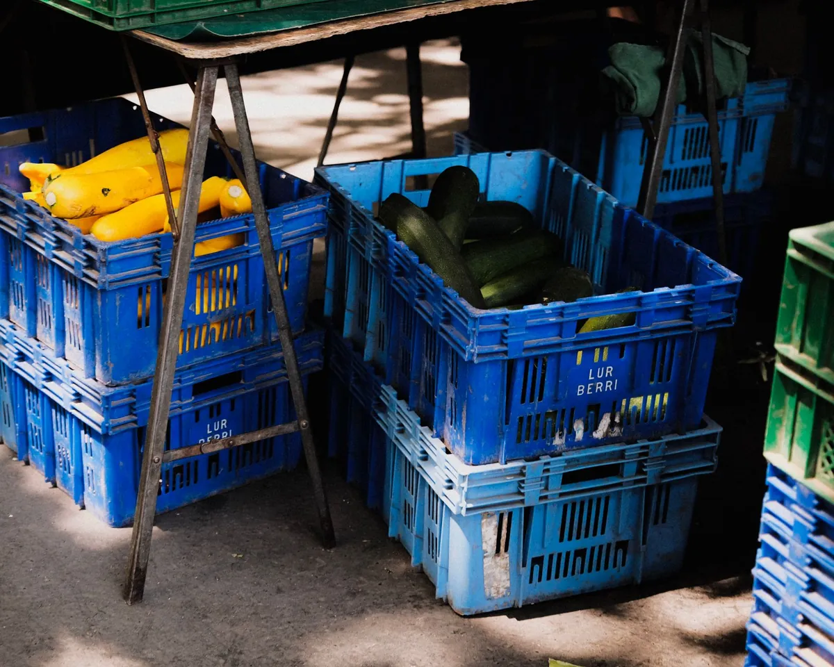 Blue plastic crates with slotted walls holding yellow squash and cucumbers, stacked under a market awning