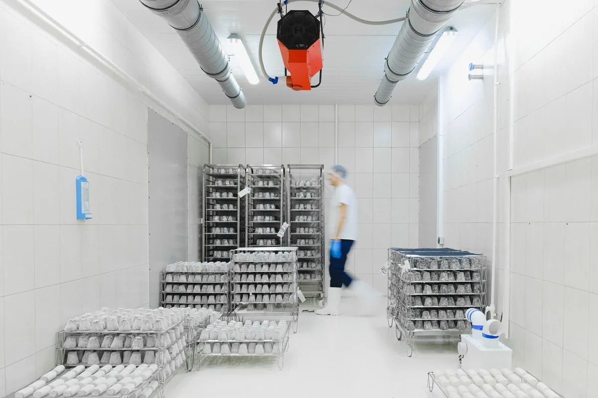 Clean cold store with stainless steel racking, a damp low-temperature environment