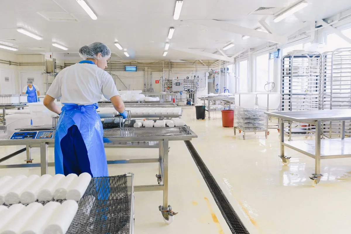 Workers in protective clothing in a food processing plant meeting HACCP hygiene standards