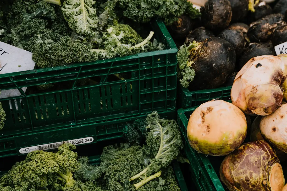 Kale and radishes displayed in blue mesh plastic crates at a market stall