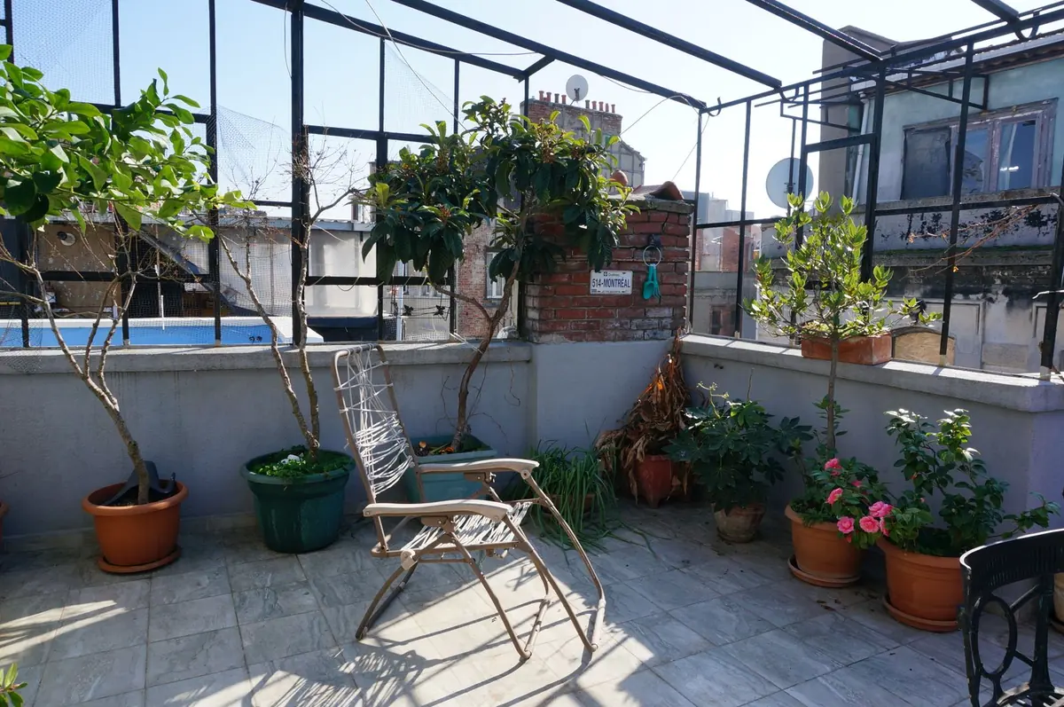 Rooftop terrace with many green plants in large pots